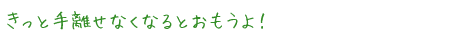 きっと手離せなくなるとおもうよ！