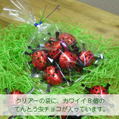 「幸せのてんとう虫チョコレート」 【10個クリア袋入り×5セット】、オーガニック、フェアトレード
