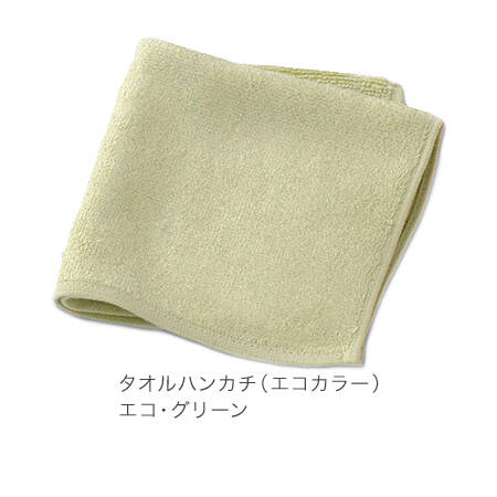 【竹布】 TAKEFU タオルハンカチ、23x23cm、エコ・グリーン（# 8257）550 円