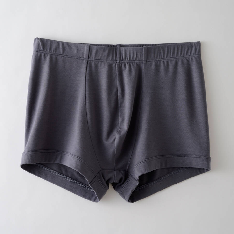 【竹布】 TAKEFU ボクサーパンツ、L、ブルーグレー（# 8648）3,500 円