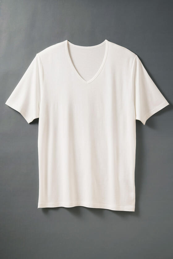 【竹布】 TAKEFU VネックTシャツ・メンズ、オフホワイト、M～L